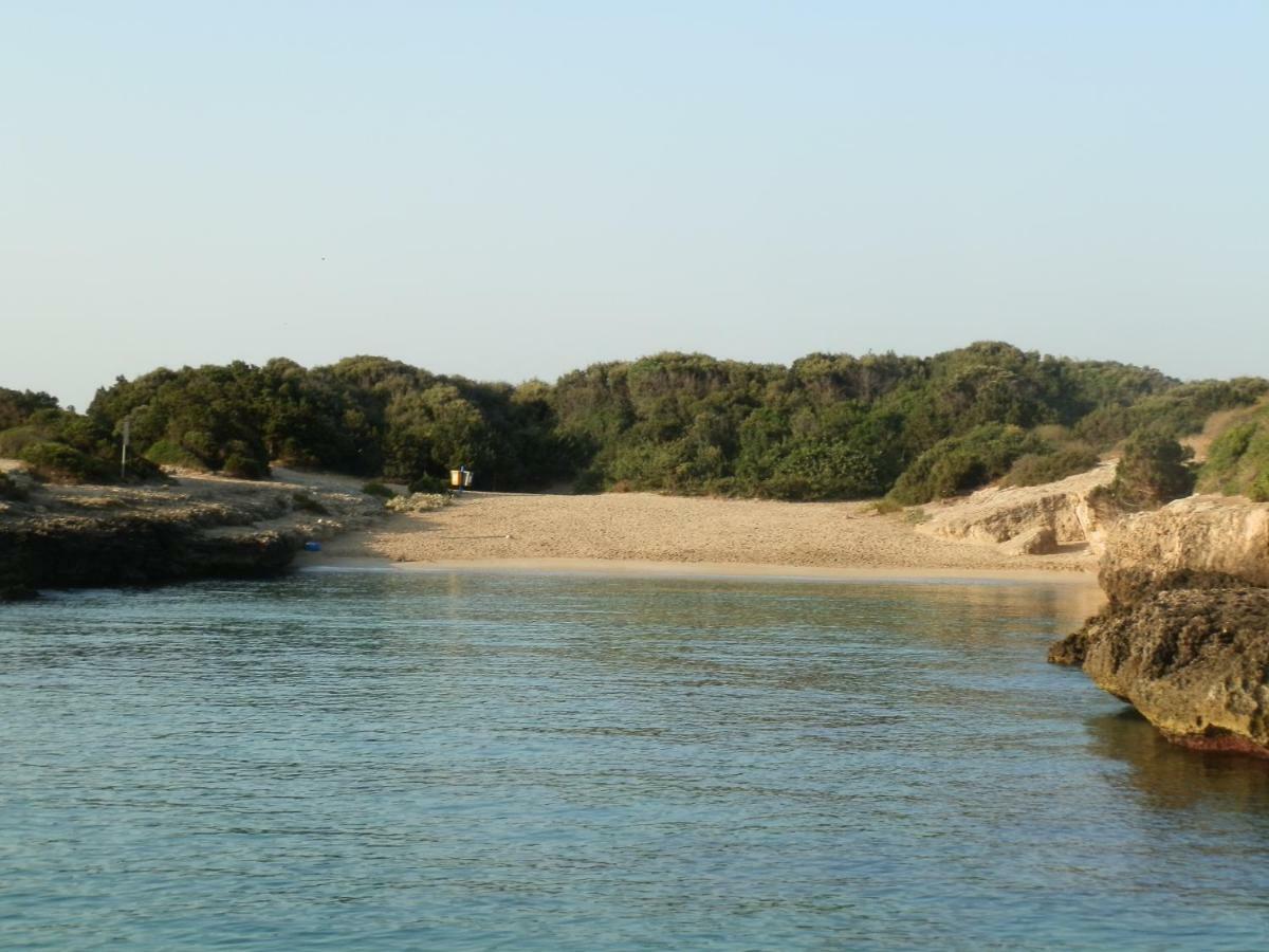 Il Fico D'India Dell'Antico Orto Villa Ostuni Bagian luar foto