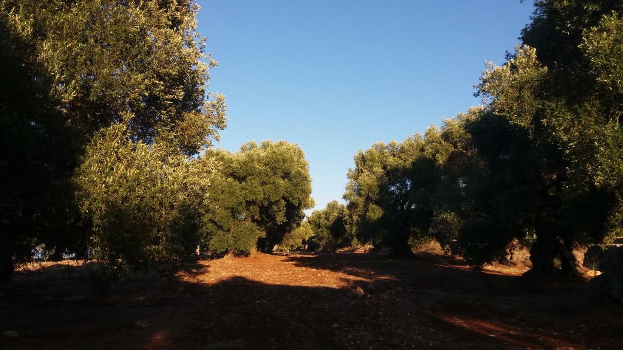 Il Fico D'India Dell'Antico Orto Villa Ostuni Bagian luar foto