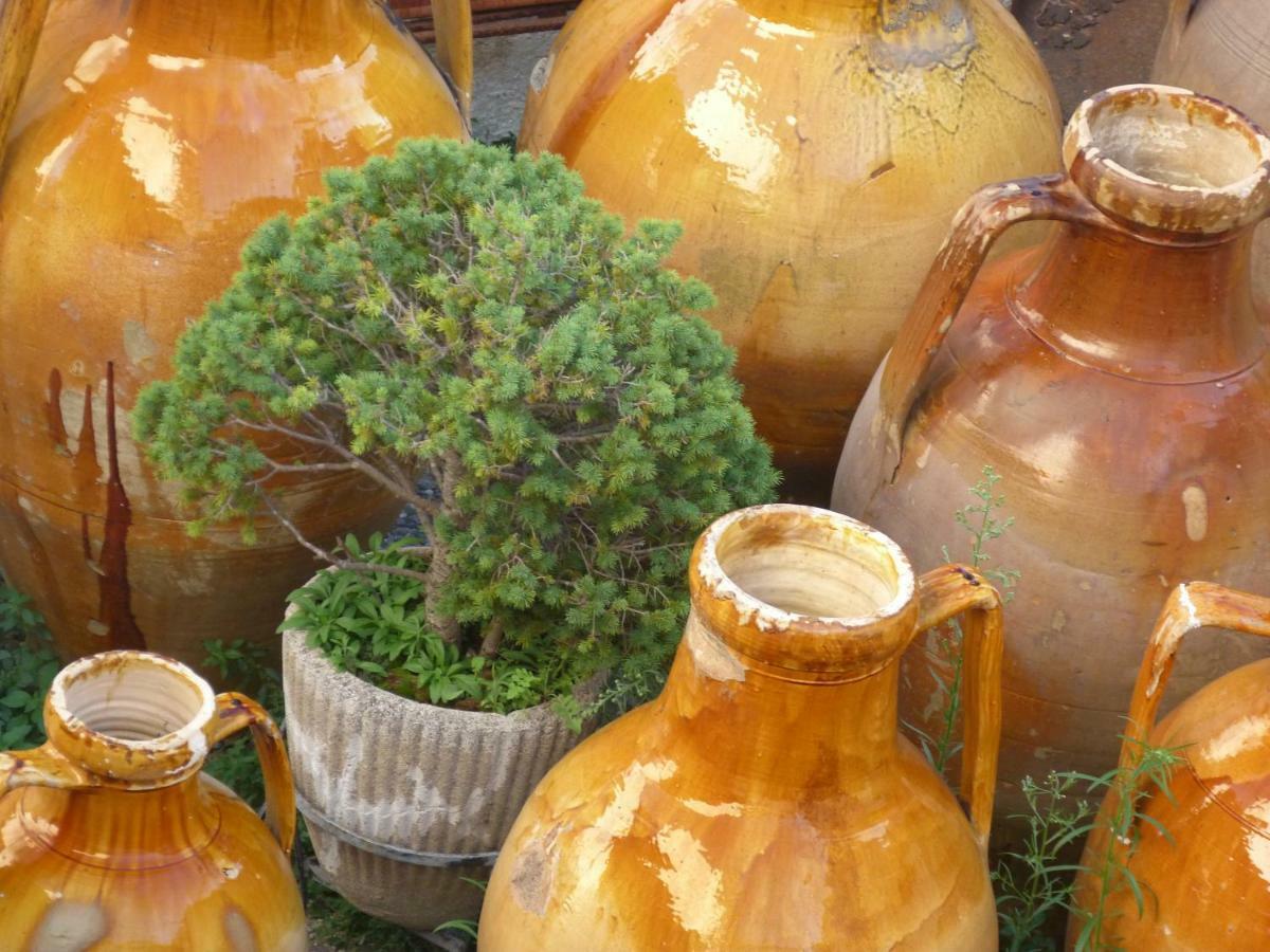 Il Fico D'India Dell'Antico Orto Villa Ostuni Bagian luar foto